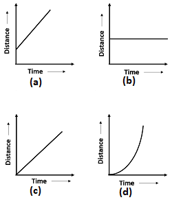 NSO Free Sample PDF Papers for Class 7 | NSO Level 1 Worksheets for Class 7